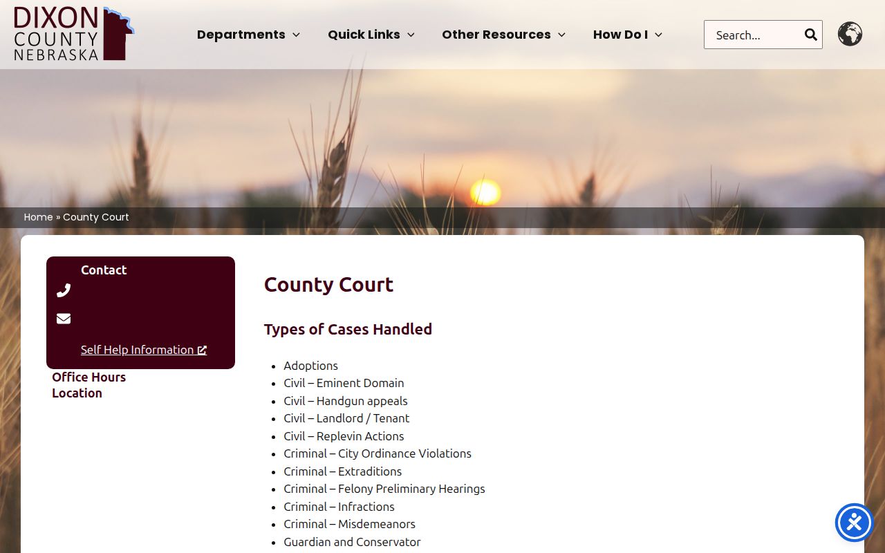 Dixon County Court case jurisdiction and record access