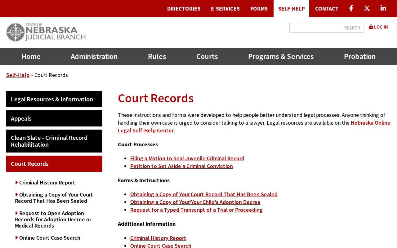 Dixon County criminal court record forms and case remedies